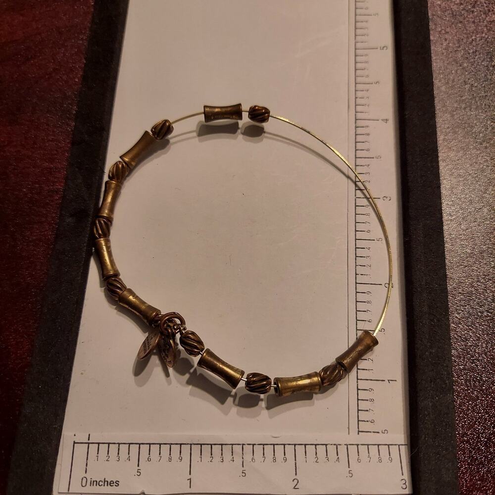 Alex and Ani Bronze Tone Twisted and Smooth Beads Bracelet
